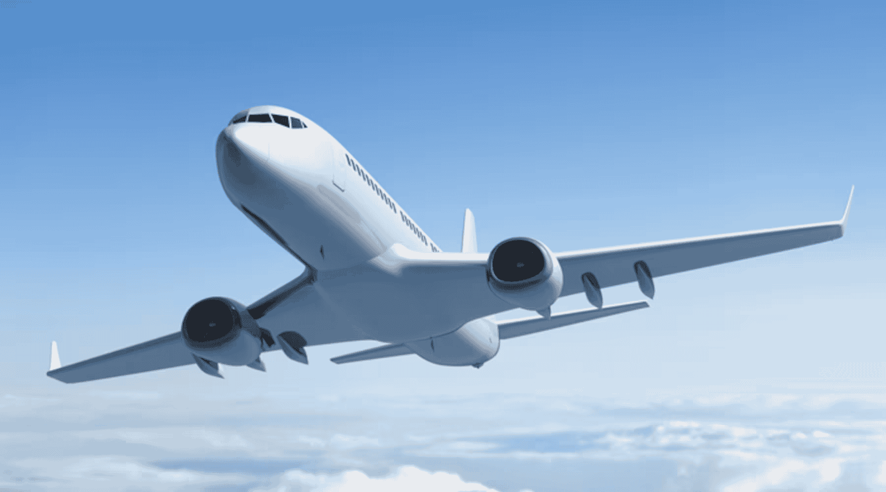 Domestic Flights